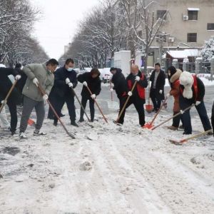 雪后“暖”行！新郑法院干警迎寒而上 扫雪除冰保畅通