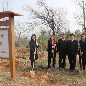 司法护绿筑屏障 同心共建生态美丨新郑法院开展义务植树活动