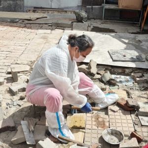 九年坚守暖人心！爱狗志愿者公益修缮小院，用行动守护毛孩子家园