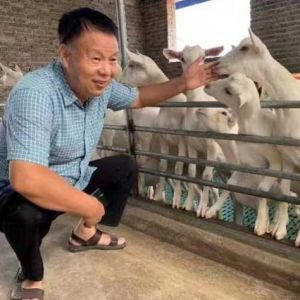 曹斌云教授羊奶与国民健康新论引强烈反响