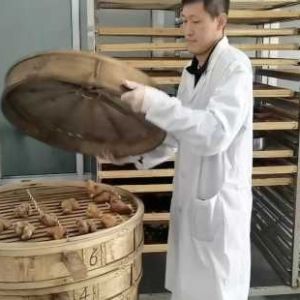 坚持守正创新、传承中医精华 山东滨州市中医医院崔智峰探索药食同源科研转化新路径