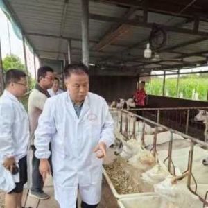 羊奶产业在大健康消费时代强势崛起的奥秘